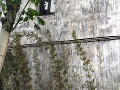 -千灯古镇