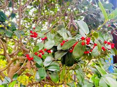 -天目湖御水温泉·度假酒店