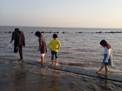 -南汇嘴观海公园