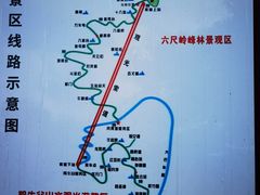 -牛背梁国家森林公园