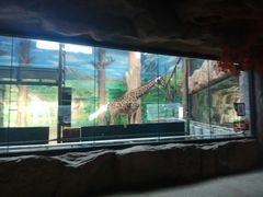 -鄂尔多斯野生动物园