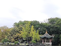 -江心屿景区
