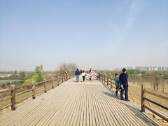 -汉长安城未央宫国家考古遗址公园