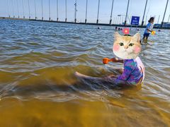 -碧海金沙