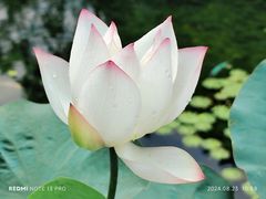 -云溪植物园