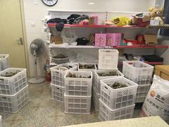 -璐坊粽王(复兴中路店)