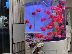 -新蝶变皮肤管理中心