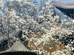 -灵谷景区
