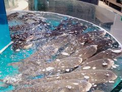 -魏铭鱼头捞饭(晋阳路店)