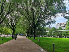 -唐城墙遗址公园