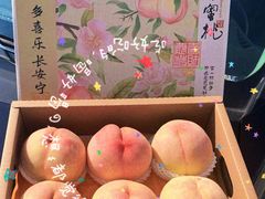 -老袁家蜜桃农场·阳山水蜜桃