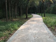 -昆山城市生态森林公园