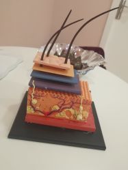 -晶奕空间专业脱毛连锁机构