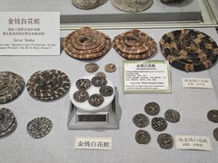 -北京中医药大学-中医药博物馆