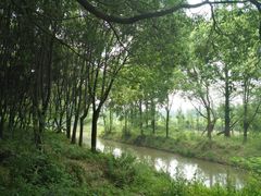 -同里国家湿地公园