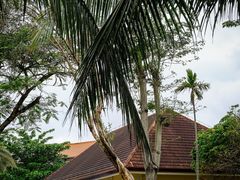 -三亚海棠湾万丽度假酒店