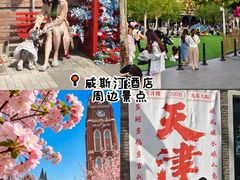 -天津君隆威斯汀酒店