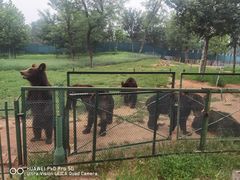 -秦皇岛野生动物园
