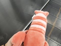 -九木杂物社(大东方百货店)