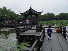 -西湖游船