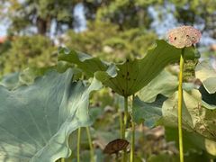 -龚家花园农家乐休闲别墅