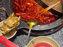 -蜀大侠火锅(总府路店)