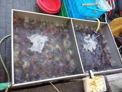 活龙虾-段氏龙虾·烧烤·烤鱼(东书房路店)