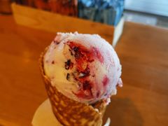 -Patagonia Chocolates(皇后镇店)