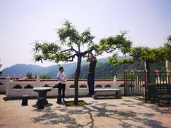 -妙峰山风景名胜区
