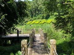 -深圳国际园林花卉博览园