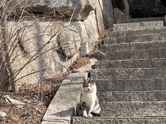-崂山巨峰游览区