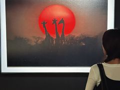 -罗红摄影艺术馆