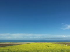 -青海湖国家重点风景名胜区