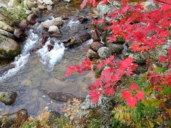 -丹东天桥沟景区