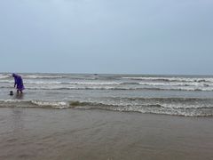 -日照海滨国家森林公园