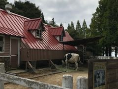-神户市立六甲山牧场