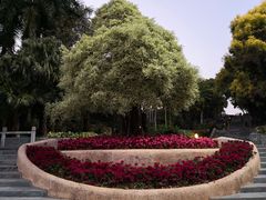 -深圳国际园林花卉博览园