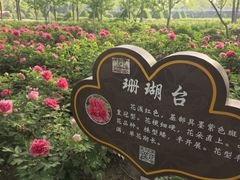 -洛阳市隋唐城遗址植物园