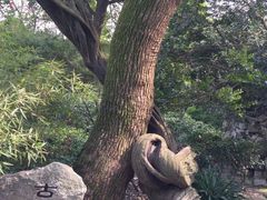 -绮园景区