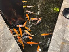 -深圳隐秀山居酒店