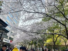 -玛格萝妮比萨屋(四平店)