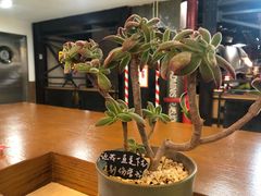 -研艺台湾好茶(西单大悦城店)