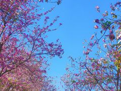 -花都广场