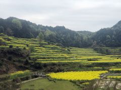-灵山景区梯田