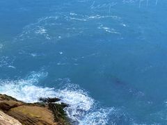 -广东惠东海龟国家级自然保护区