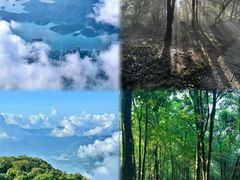 -梧桐山风景名胜区