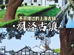 -枫泾古镇景区