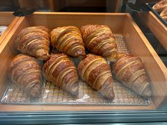 -喜莲娜动物奶油生日蛋糕(箭盘店)