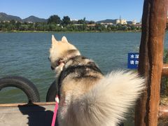 -永定河休闲森林公园