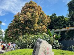 -中国科学院西双版纳热带植物园